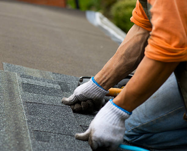 Best Roof Maintenance Services  in Keaau, HI