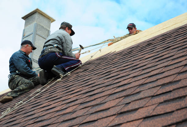 Best Roof Waterproofing Services  in Keaau, HI
